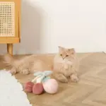 デンタルメッシュノーズワークストロベリー - Image 7