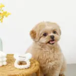 デンタルロープノーズワークおしゃぶりおもちゃ - Image 2