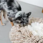 ノーズワークバイカラーマット - Image 8