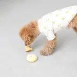 きのこのノーズワークおもちゃ - Image 4