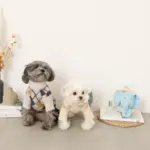 ビックイヤーぞうさんぬいぐるみ - Image 3