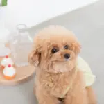 シリコンカップケーキ - Image 7