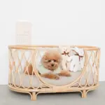 ネックリボンくまさん - Image 5