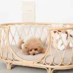 ネックリボンくまさん - Image 6