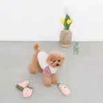 ピンクのトマトソースのおもちゃ - Image 2