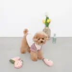 ピンクのトマトソースのおもちゃ - Image 4