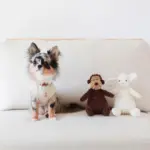 コーデュロイのサルさん - Image 6