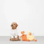 コーデュロイのアヒルさん - Image 2