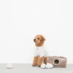 3匹のねずみさんのおもちゃ おうち付 - Image 2