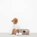 3匹のねずみさんのおもちゃ おうち付 - Image 5