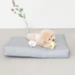 イチゴとパインのおもちゃ - Image 3