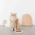 キャットパンチングおもちゃ - Image 2