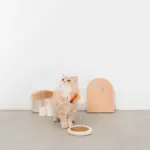 キャットパンチングおもちゃ - Image 3