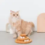 ナチュラルウッドボール回転盤 - Image 2