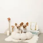 ギンガムチェックドーナツクッションベッド - Image 7