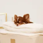 低反発まくら付きスロープクッションベッド - Image 8