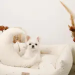 撥水お星さまとお月さま柄刺繍キルティングクッションベッド - Image 4