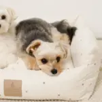 撥水お星さまとお月さま柄刺繍キルティングクッションベッド - Image 6