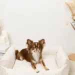 撥水お星さまとお月さま柄刺繍キルティングクッションベッド - Image 8