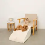 ファースエードスローステップ階段 - Image 3