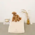 ファースエードスローステップ階段 - Image 10