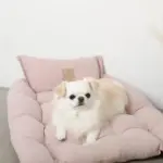 3wayクッションベッド - Image 3