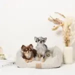 ギンガムチェッククッションベッド - Image 4