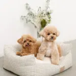 ギンガムチェッククッションベッド - Image 8