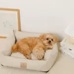 防汚加工シンプルクッションベッド - Image 8