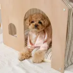 室内用ストライプペットハウス クッション付 - Image 9