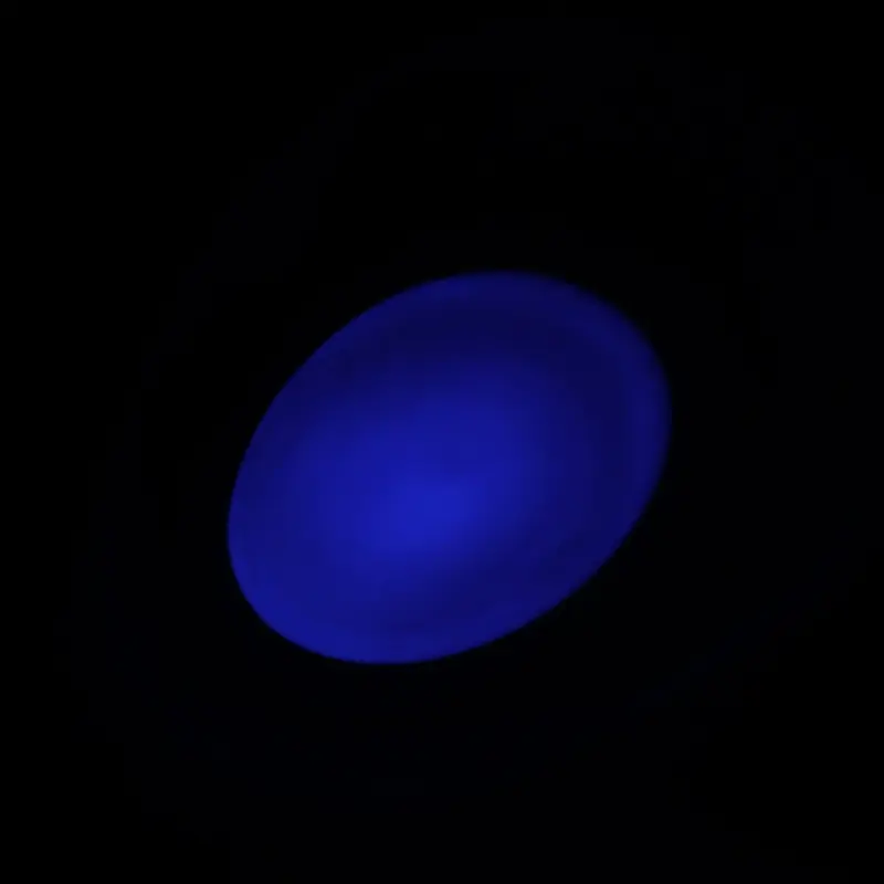 犬 携帯 ケース - Professional Guide and Review