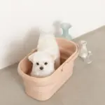 折りたたみ持ち手付ペットバス - Image 4