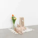 長方形壁掛け爪とぎマット - Image 3