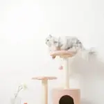 星とお月さまのキャットタワー - Image 3