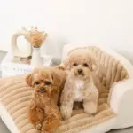 もこもこソファクッションベッド - Image 4