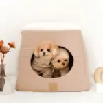 2wayペットハウス - Image 4