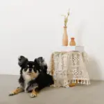 ドライフラワー用ウッドトールフラワーベース - Image 4