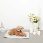 tomboniaコラボひんやりジェルマット - Image 6