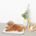 tomboniaコラボひんやりジェルマット - Image 8