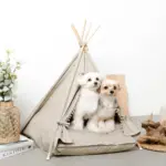 クッション付テントハウス - Image 4