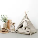 クッション付テントハウス - Image 8