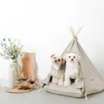 クッション付テントハウス - Image 10