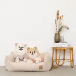 ドットヤーンキルティングクッションベッド - Image 3