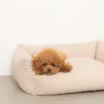 ドットヤーンキルティングクッションベッド - Image 6