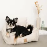 ストライプふんわりドライブペットベッド - Image 3