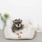 ストライプふんわりドライブペットベッド - Image 6