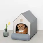 エコレザー組み立てハウス クッション付き - Image 2