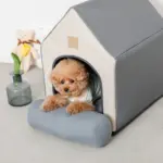 エコレザー組み立てハウス クッション付き - Image 3