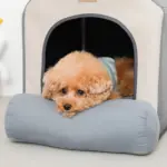 エコレザー組み立てハウス クッション付き - Image 6