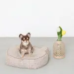 くまさんフェイスドッグベッド - Image 3